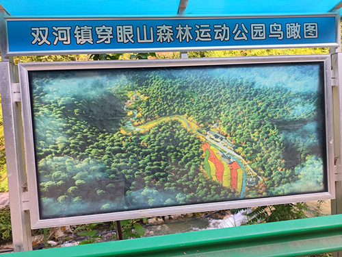 IMG_20250713_170325_副本.jpg