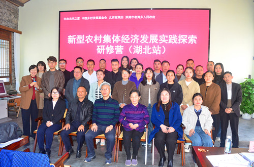 图片1_副本.jpg